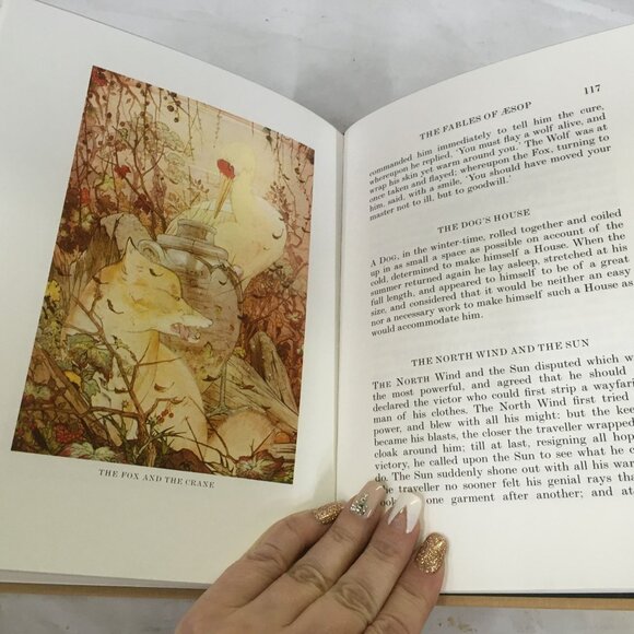 The Fables of Aesop Illustrated in Colour by Edward J Detmold Book - Picture 14 of 15